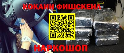 скорость Новозыбков