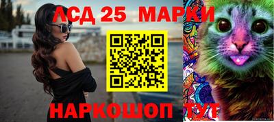 ешки Новодвинск