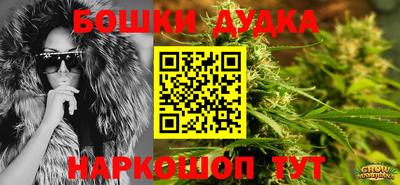 скорость Новозыбков