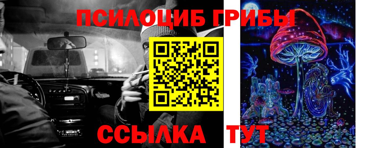 Галлюциногенные грибы Psilocybine cubensis Симферополь