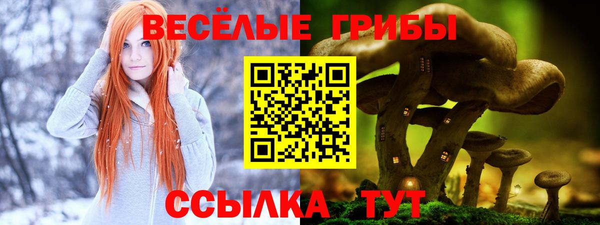 Симферополь  Галлюциногенные грибы Psilocybine cubensis  Вход с VPN  Псилоцибиновые грибы GOLDEN TEACHER 